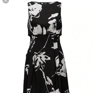 Lauren by Ralph Lauren Lamona Popover dress. BNWT SZ 10